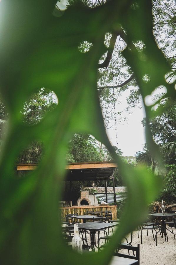 Hostel Lost Boyz Playa Santa Teresa  Exterior foto